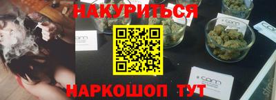 apvp Кингисепп