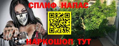 шишки Кинель